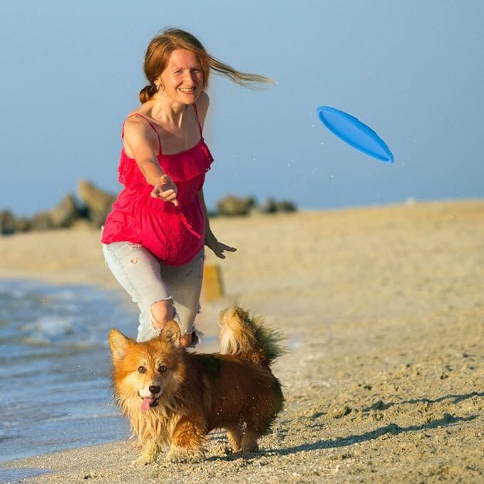 Frisbee - FlyDog™ - Bleu - Toutou Paradis