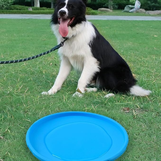 Frisbee - FlyDog™ - Bleu - Toutou Paradis