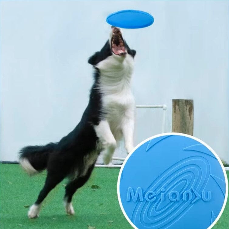 Frisbee - FlyDog™ - Bleu - Toutou Paradis