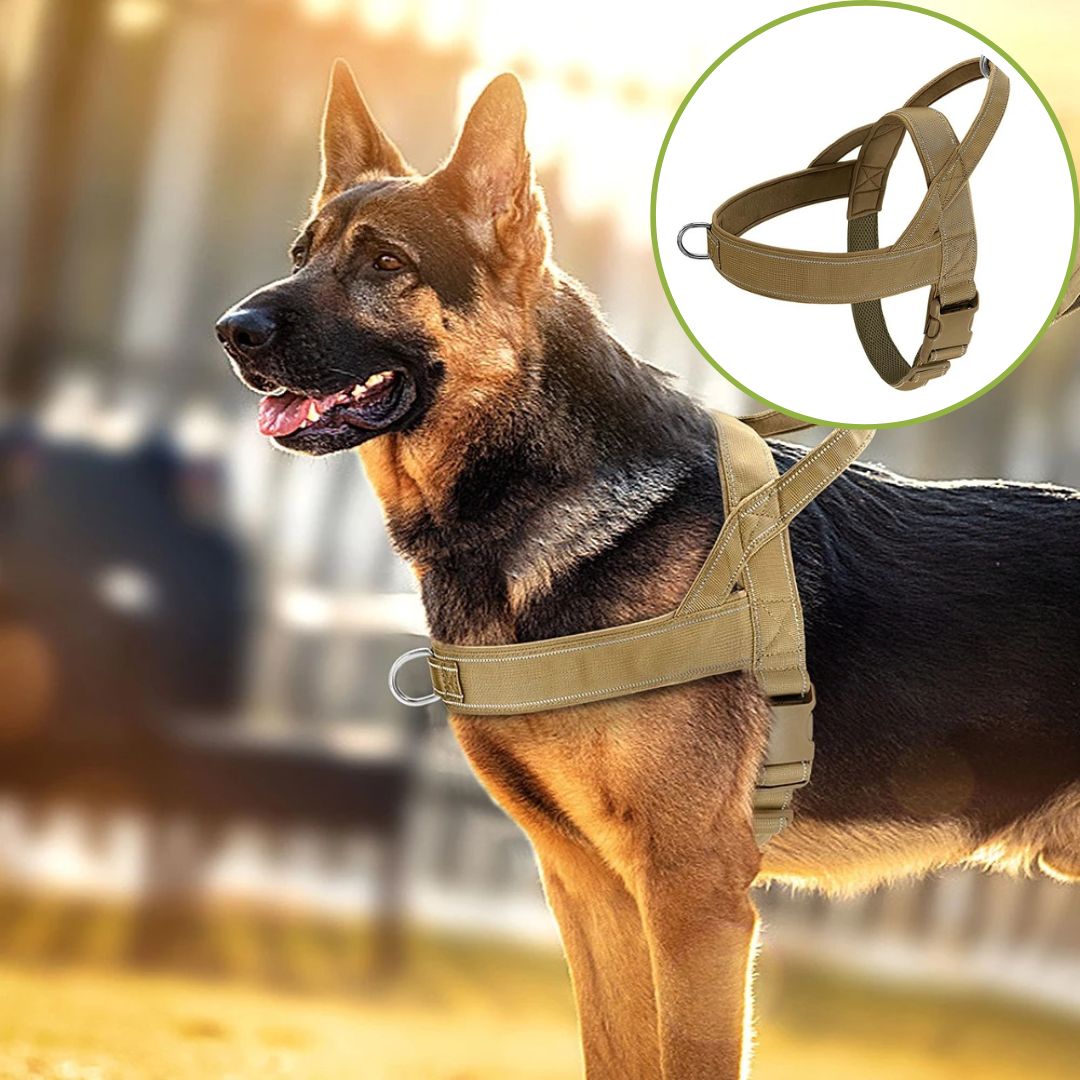 harnais anti traction brun clair