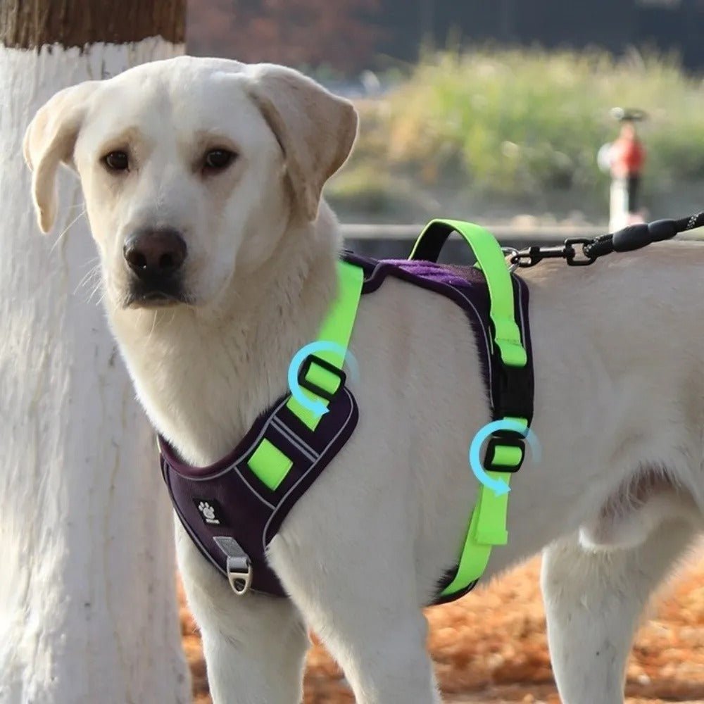 harnais anti traction chien vert fluo