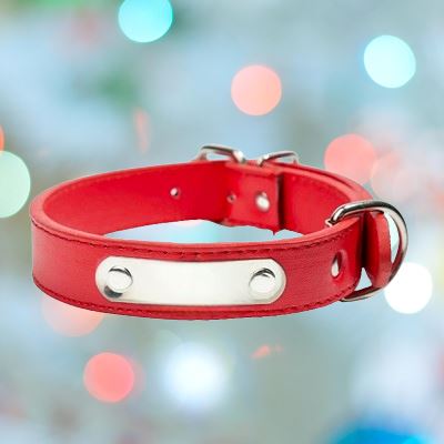 Collier de Chien - LeatherDogCollar™ - Rouge - Toutou Paradis