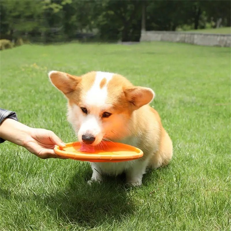 Frisbee - FlyDog™ - Orange - Toutou Paradis