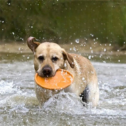 Frisbee - FlyDog™ - Orange - Toutou Paradis