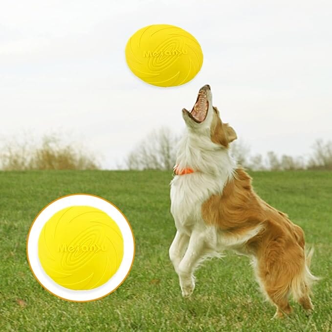 Frisbee - FlyDog™ - Jaune - Toutou Paradis