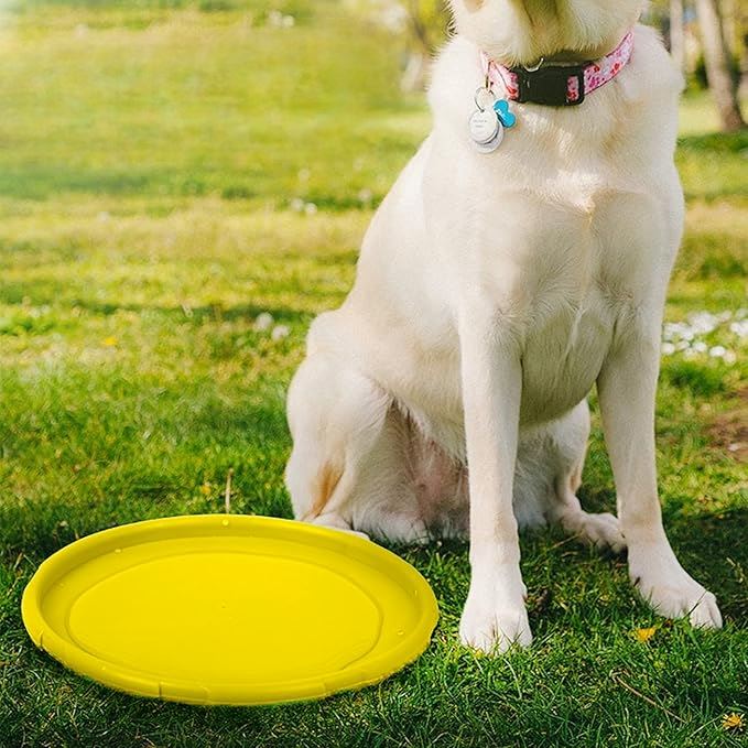 Frisbee - FlyDog™ - Jaune - Toutou Paradis