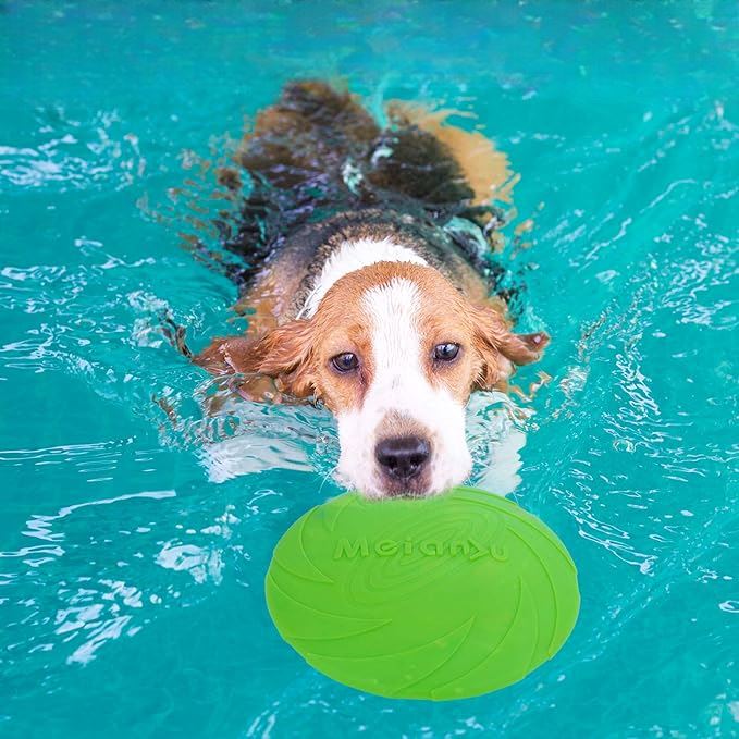 Frisbee - FlyDog™ - Vert - Toutou Paradis
