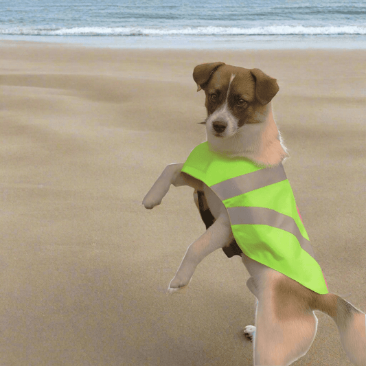 Gilet pour Chien - ReflectiveDogVest™ - Vert - Toutou Paradis