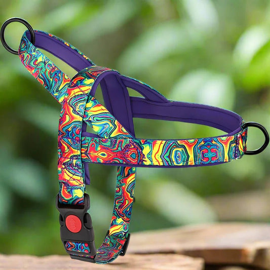 Harnais pour Chien - DogSafeHarness™ - Violet - Toutou Paradis