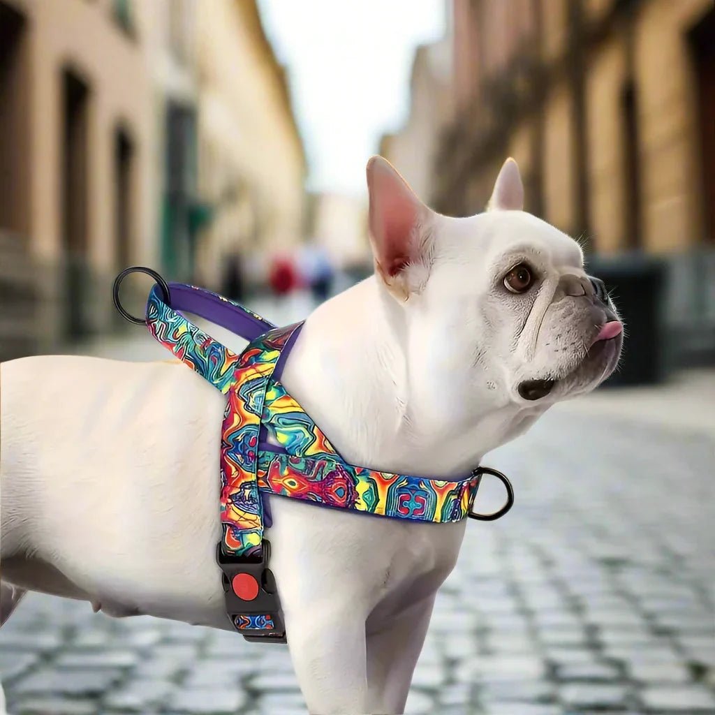 Harnais pour Chien - DogSafeHarness™ - Violet - Toutou Paradis