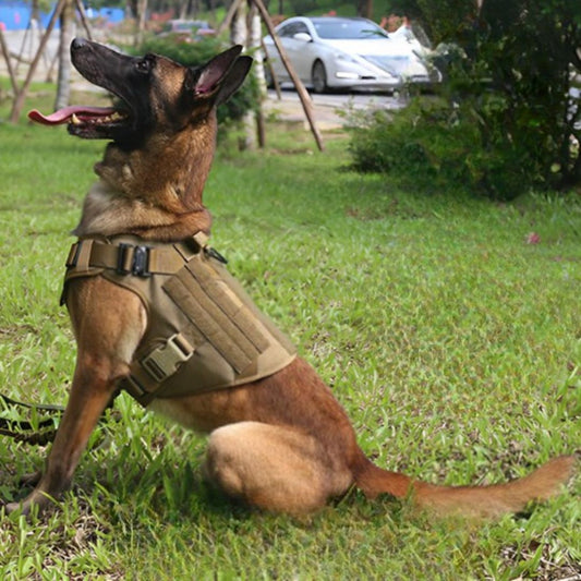 Harnais pour chien | WoofWarrior - Toutou Paradis