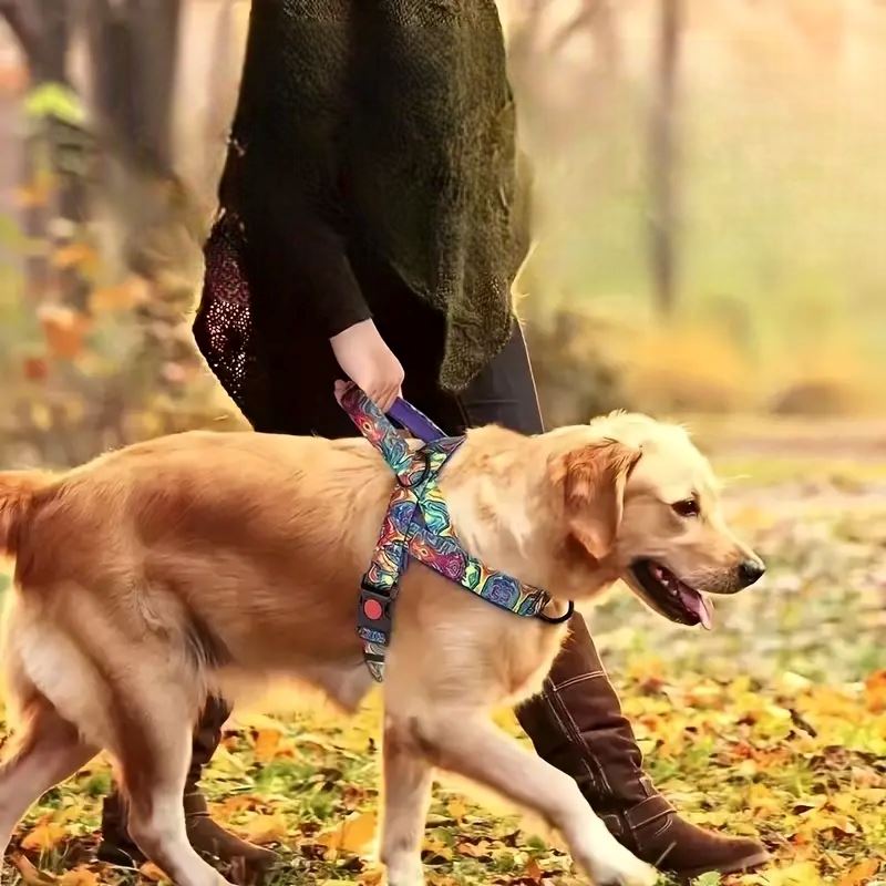 Harnais pour Chien - DogSafeHarness™ - Violet - Toutou Paradis
