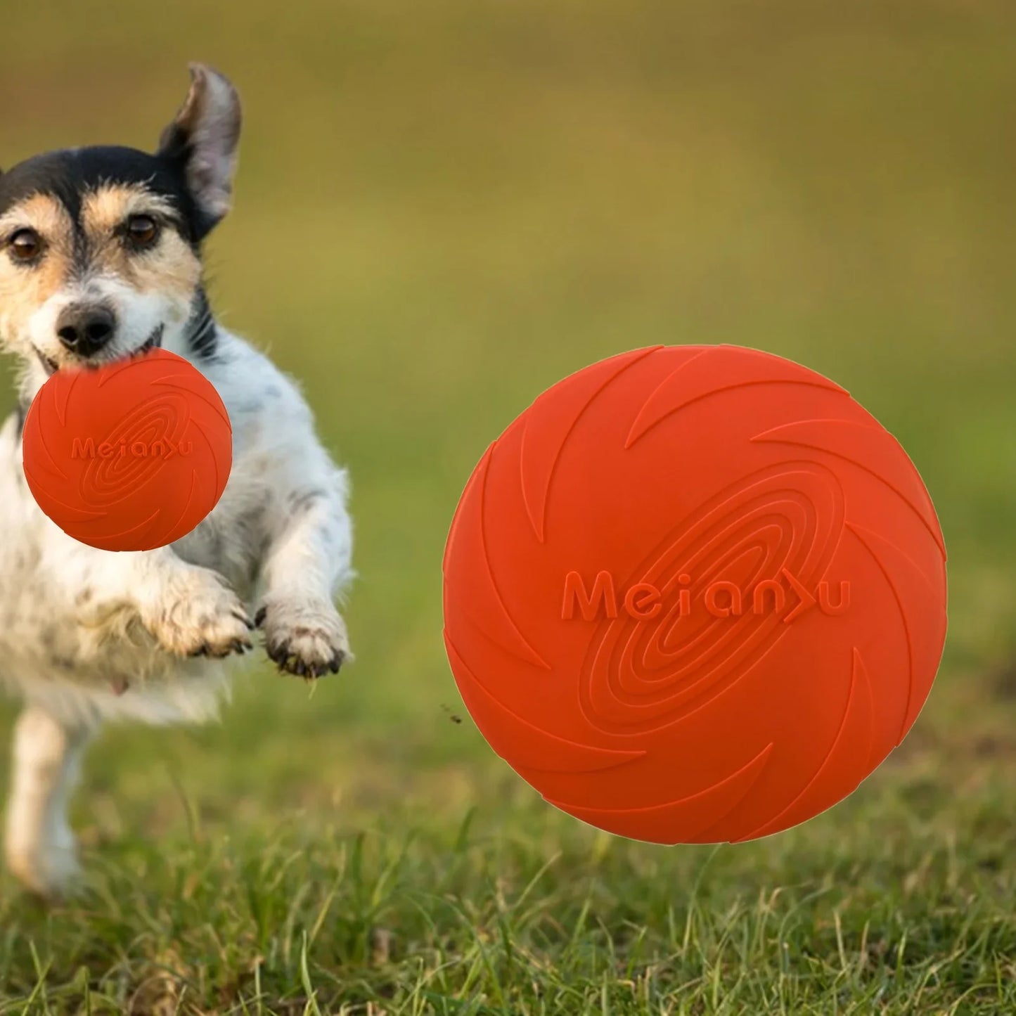 Frisbee - FlyDog™ - Rouge - Toutou Paradis
