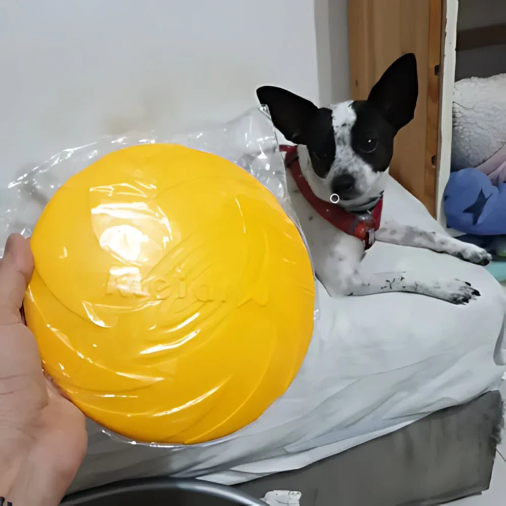 Frisbee - FlyDog™ - Jaune - Toutou Paradis