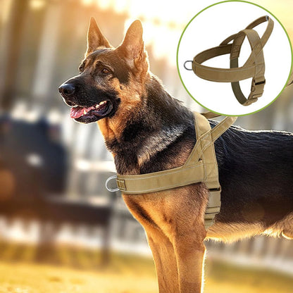 harnais anti traction brun clair