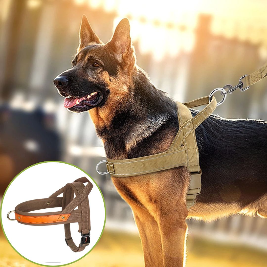 harnais anti traction brun