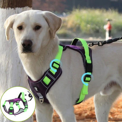 harnais anti traction chien  citron jaune