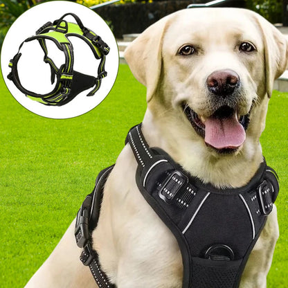 Harnais anti - traction chien ǀ ToutouPro™ - Lille - Toutou Pros