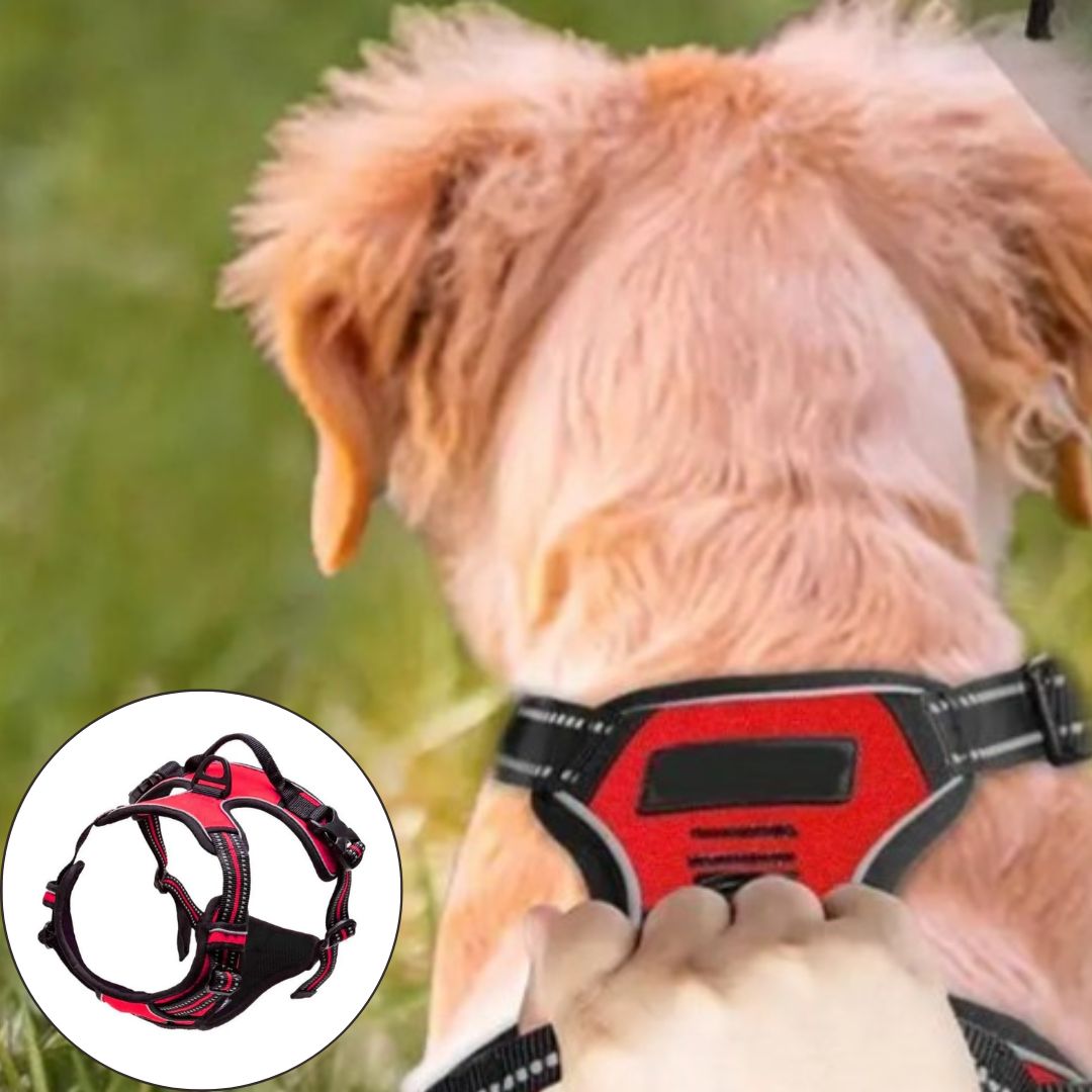 Harnais anti - traction chien ǀ ToutouPro™ - Lille - Toutou Pros