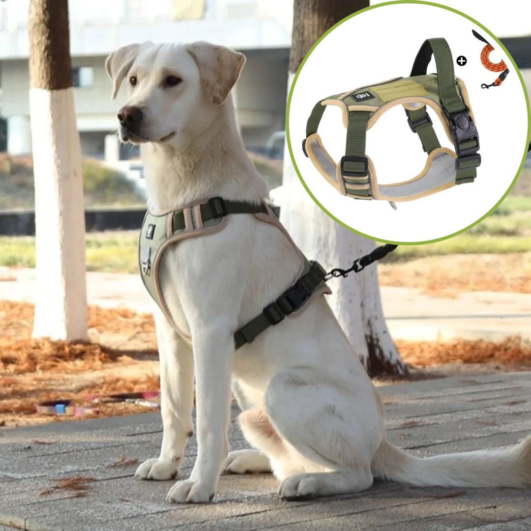 harnais anti traction chien le kaki