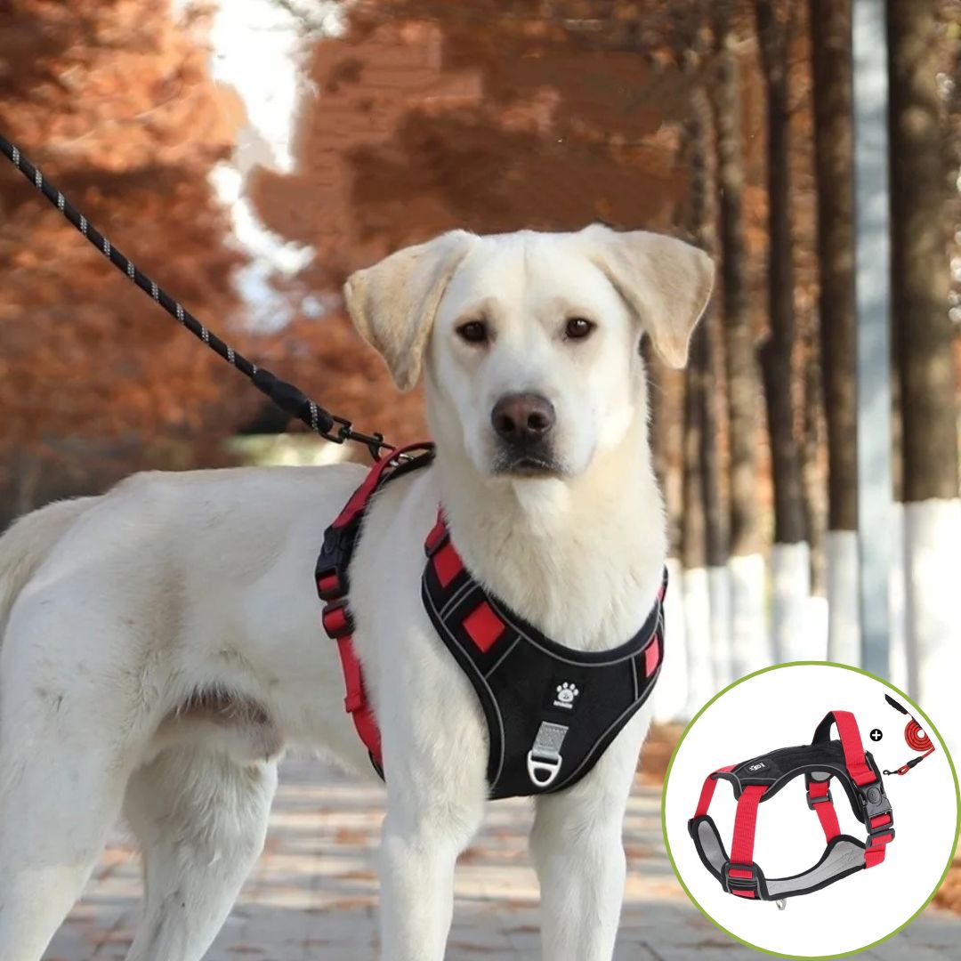 harnais anti traction chien  le noire