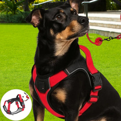 harnais anti traction chien  le rouge vif