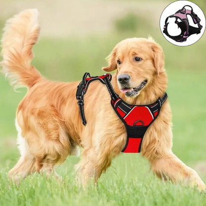 Harnais anti - traction chien ǀ ToutouPro™ - Lille - Toutou Pros