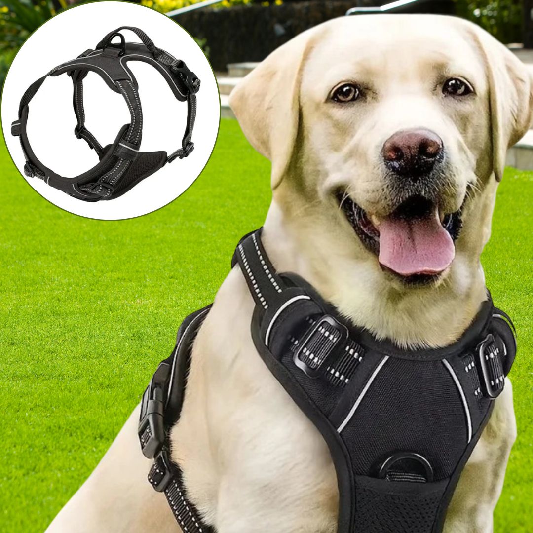 harnais anti traction chien noir meilleur