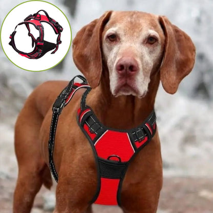 Harnais anti - traction chien ǀ ToutouPro™ - Lille - Toutou Pros