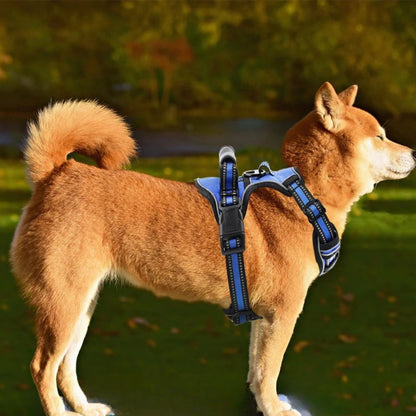 harnais anti traction chien-soleil
