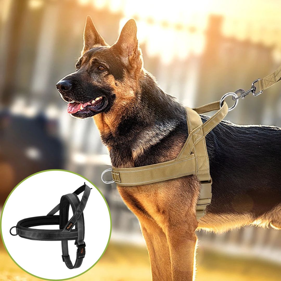 harnais anti traction noir designe