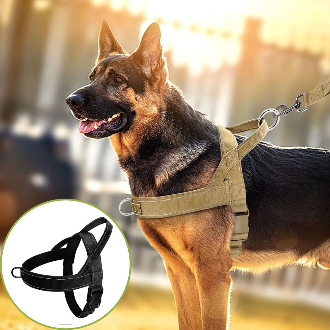 harnais anti traction noire uniforme