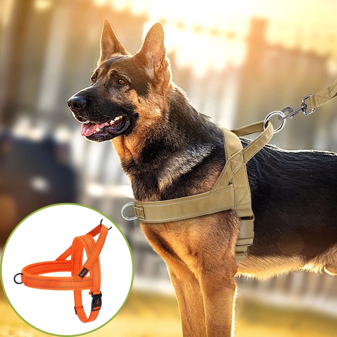 harnais anti traction orange