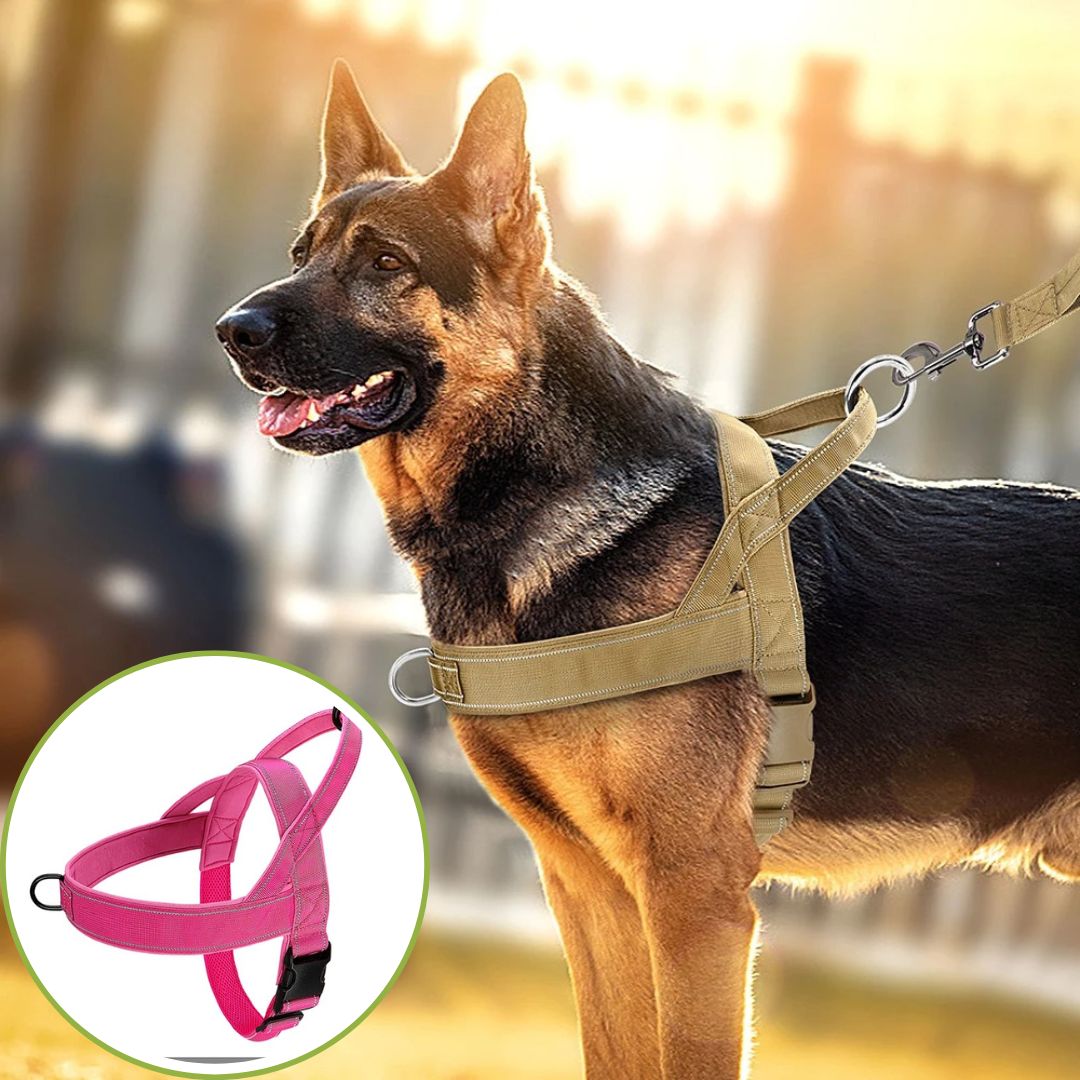 harnais anti traction rose bonbon