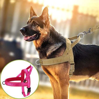 harnais anti traction rose