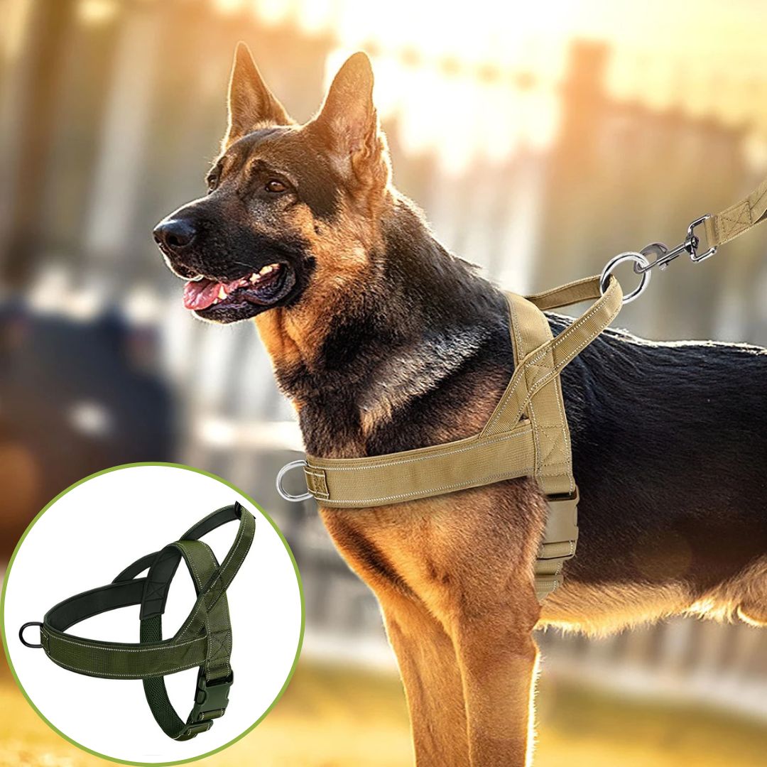 harnais anti traction vert fonce