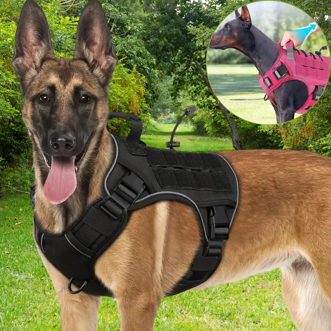 harnais chien anti traction blacky securites