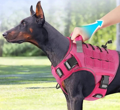 harnais chien anti traction blackyx