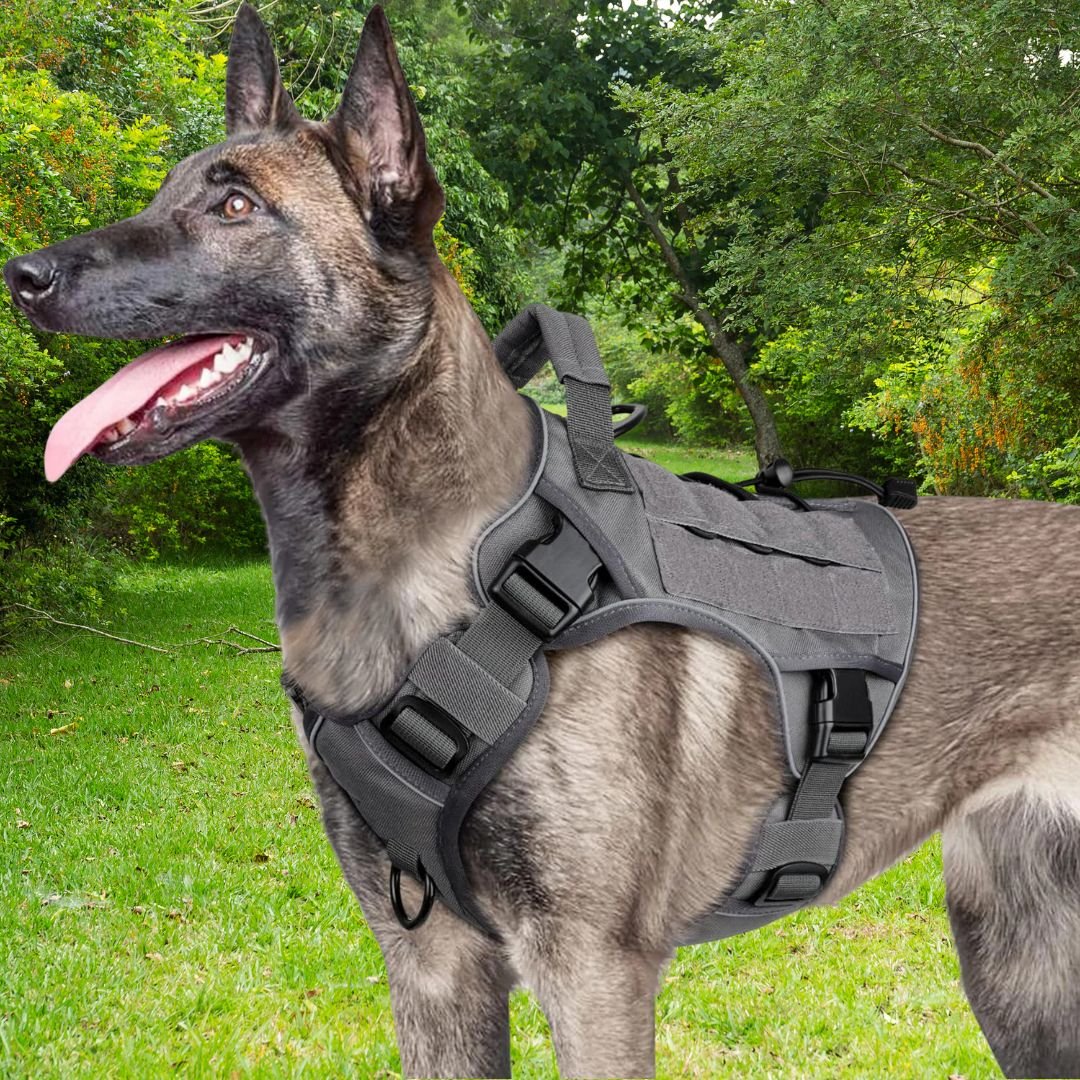 Harnais chien anti traction ǀ ToutouPro™ - Lyon - Toutou Pros