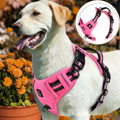 Harnais chien anti traction ǀ ToutouPro™ - Bordeaux - Toutou Pros