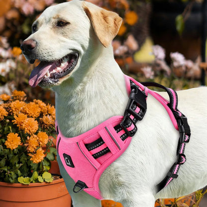 harnais chien anti traction la rose