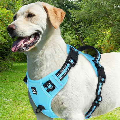 harnais chien anti traction le bleuet