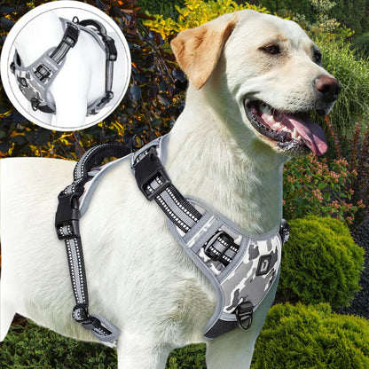 Harnais chien anti traction ǀ ToutouPro™ - Bordeaux - Toutou Pros