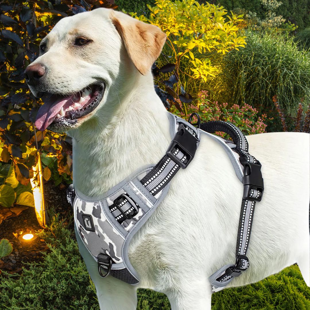 harnais chien anti traction le camouflage