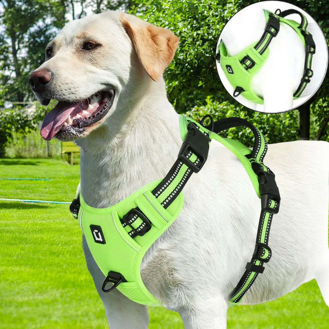 Harnais chien anti traction ǀ ToutouPro™ - Bordeaux - Toutou Pros