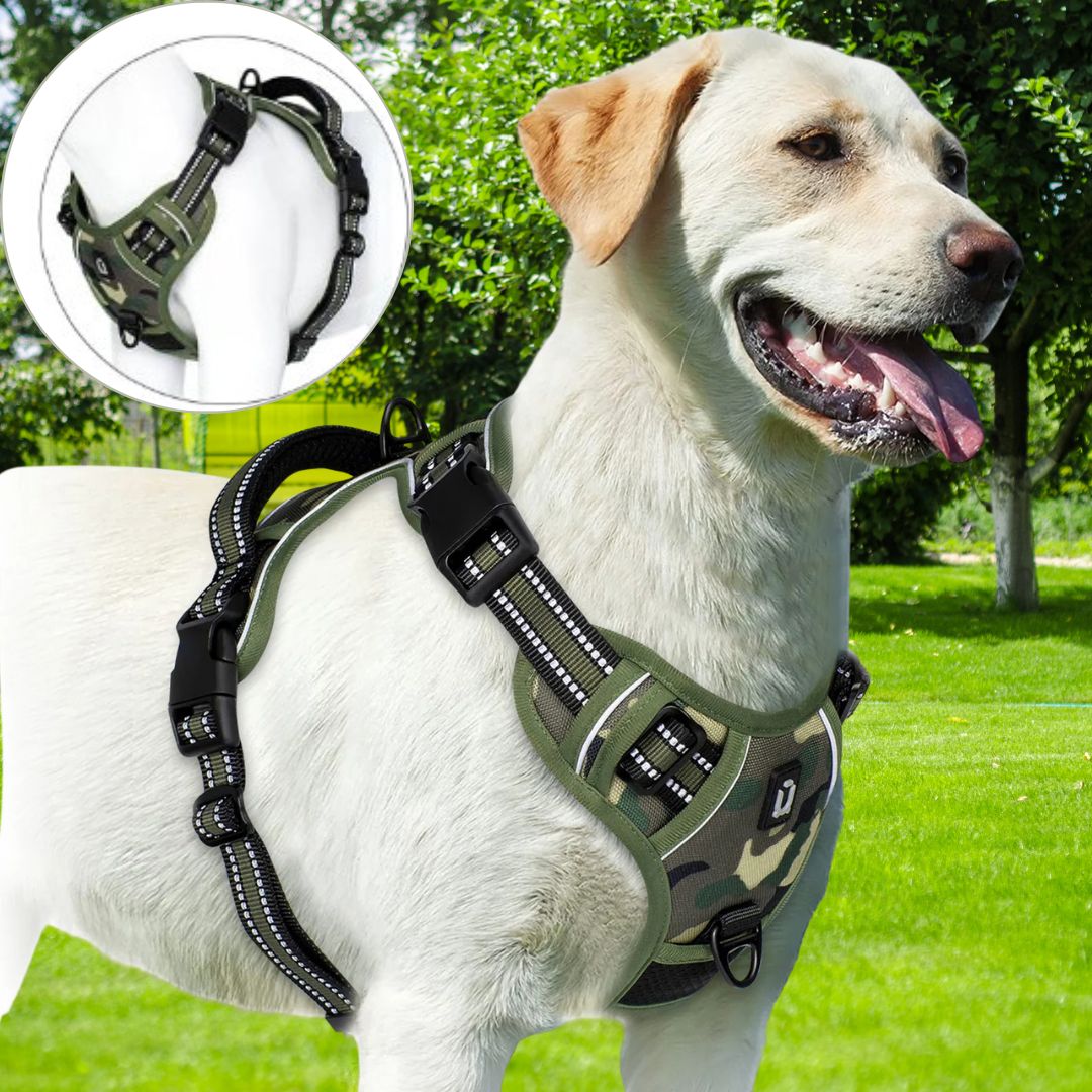 Harnais chien anti traction ǀ ToutouPro™ - Bordeaux - Toutou Pros