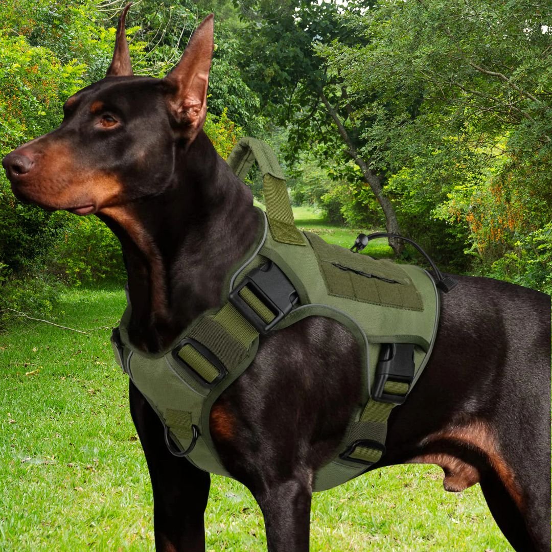 Harnais chien anti traction ǀ ToutouPro™ - Lyon - Toutou Pros