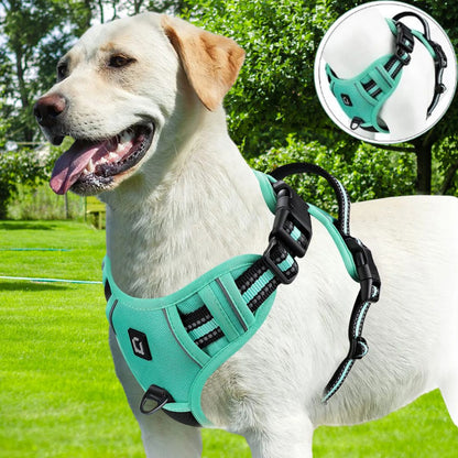 Harnais chien anti traction ǀ ToutouPro™ - Bordeaux - Toutou Pros