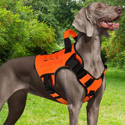 Harnais chien anti traction ǀ ToutouPro™ - Lyon - Toutou Pros