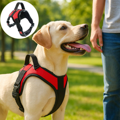 harnais chien anti traction variante rouge